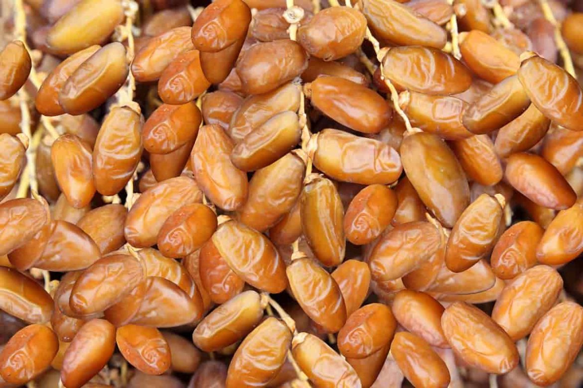 Best quality Zahidi dates