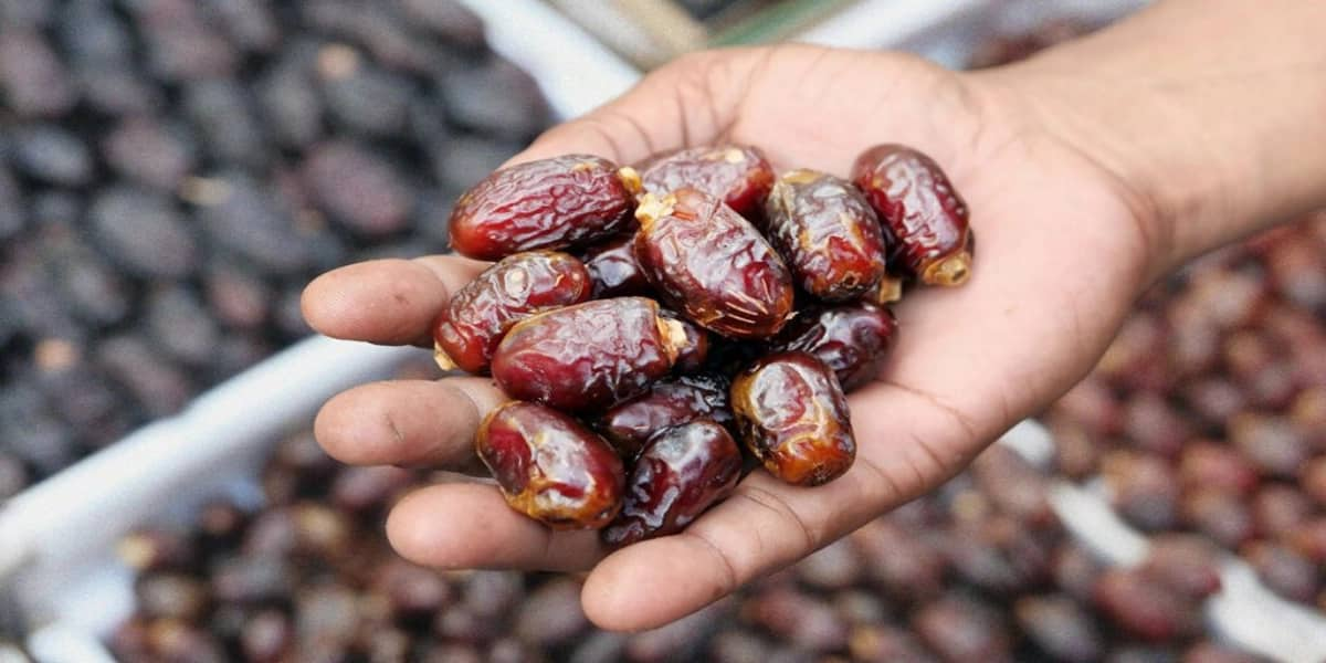  Sayer Pitted Dates 2023 Price List 