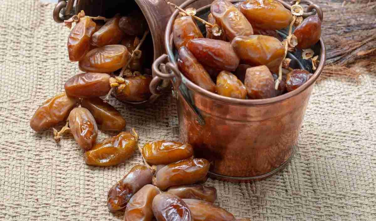  Algerian dates purchase price + excellent sale 