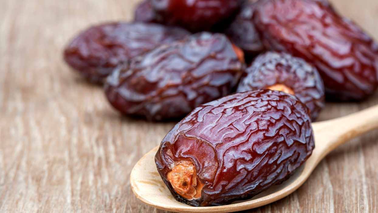  zaytoun palestinian medjool dates wholesale prices 