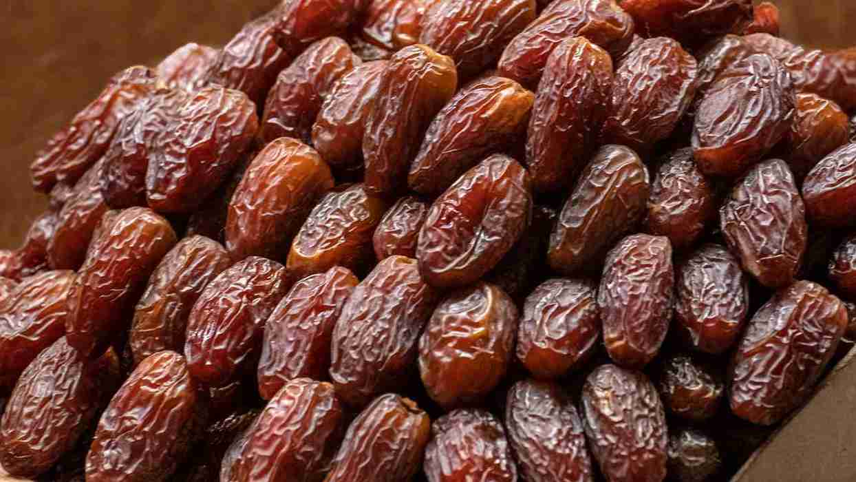  zaytoun palestinian medjool dates wholesale prices 