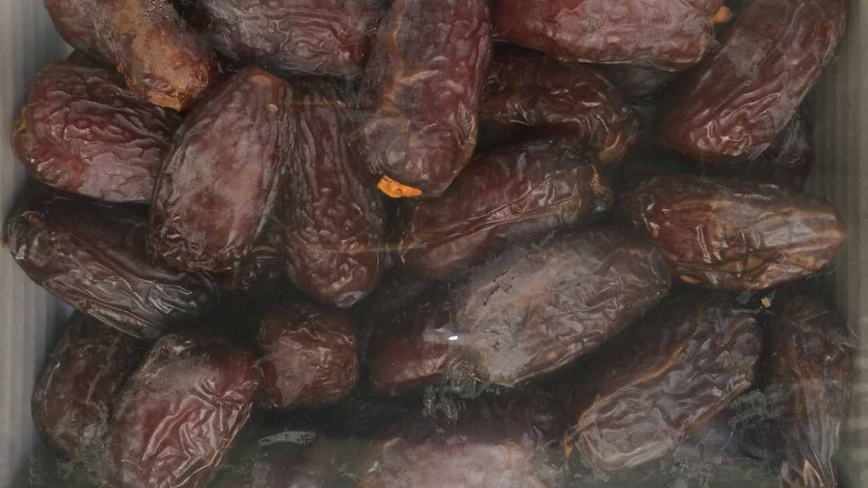  zaytoun palestinian medjool dates wholesale prices 