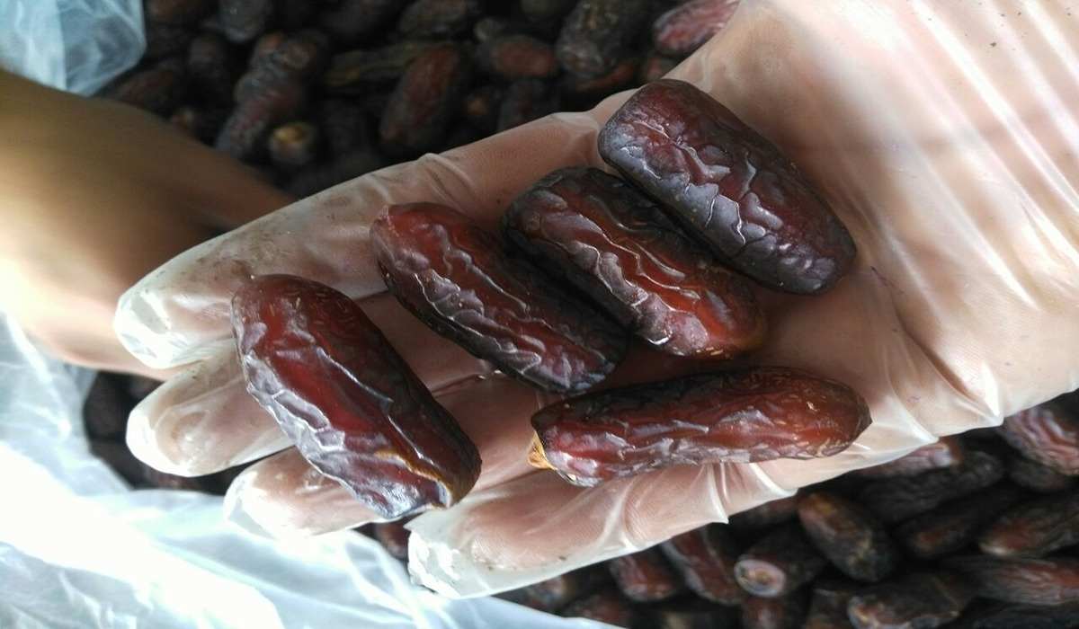  Price and Buy Piarom semi dried dates + Cheap Sale 