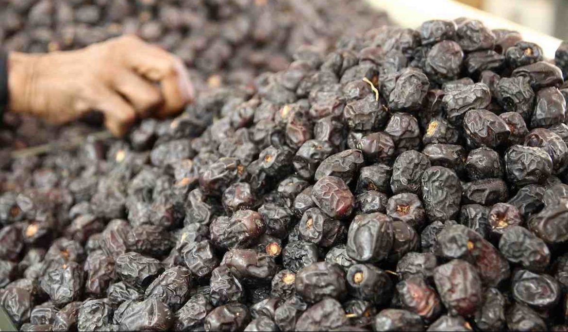 Price and purchase of Ajwa Dates In Saudi Arabia + Cheap sale