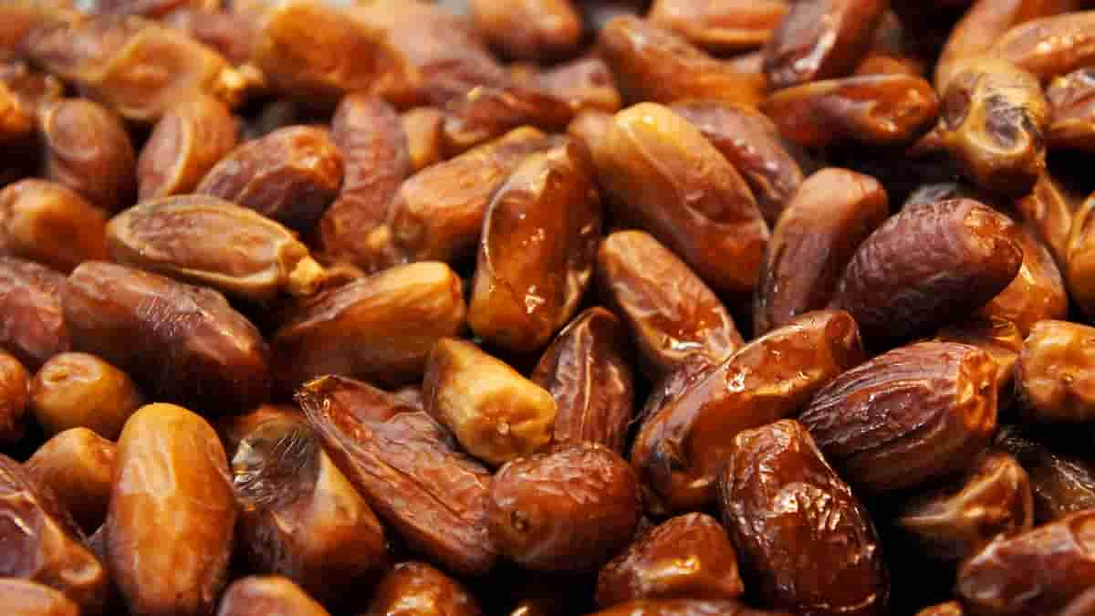  Everland pitted dates Purchase Price + Specifications, Cheap Wholesale 