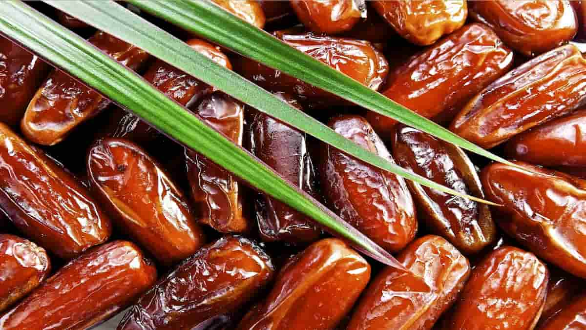  Everland pitted dates Purchase Price + Specifications, Cheap Wholesale 