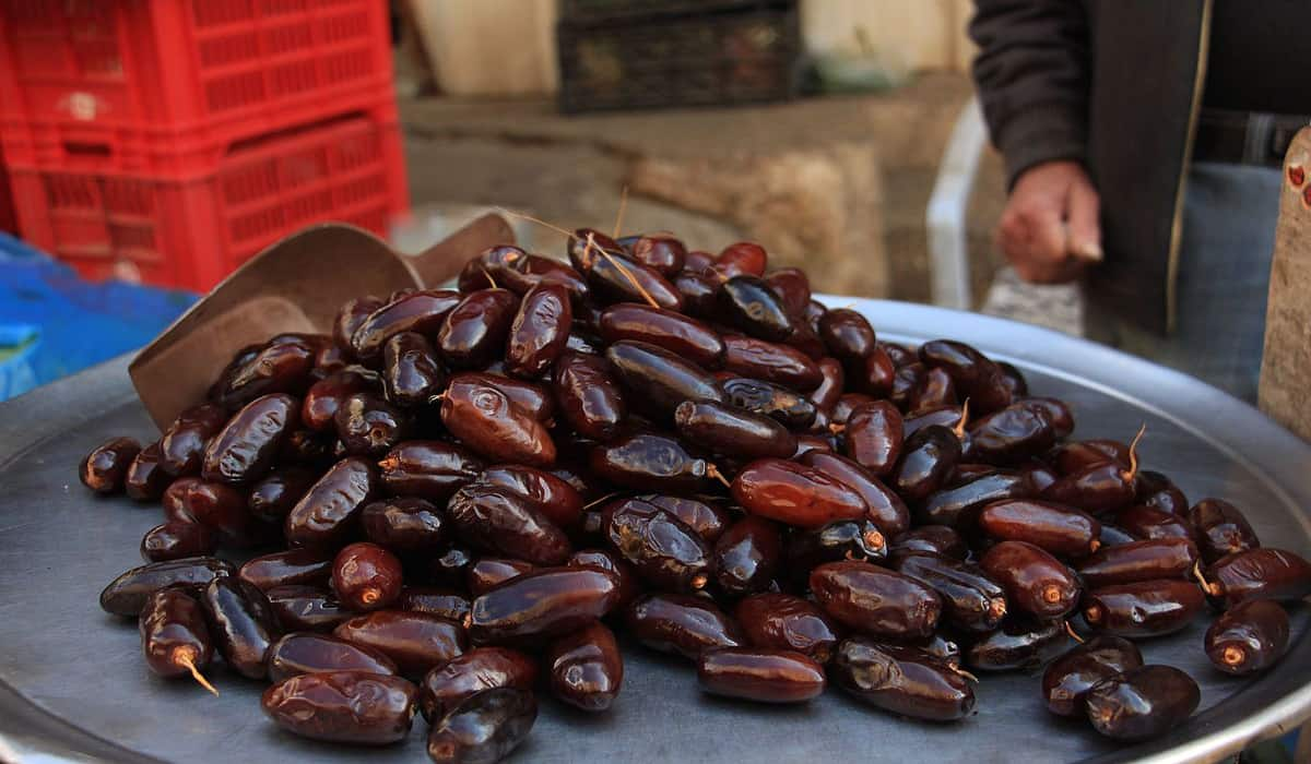  The Best Price for Buying Noor Pitted Dates 