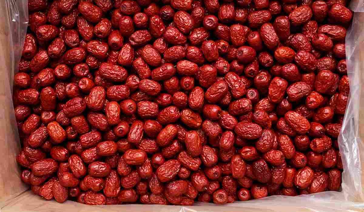  Buy dried red dates +great price 