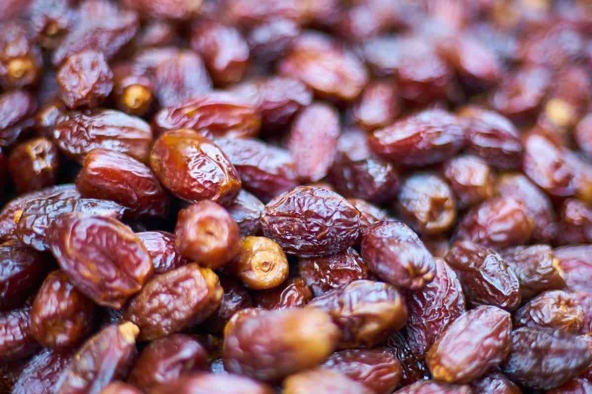  Buy egyptian semi dry dates Types + Price 