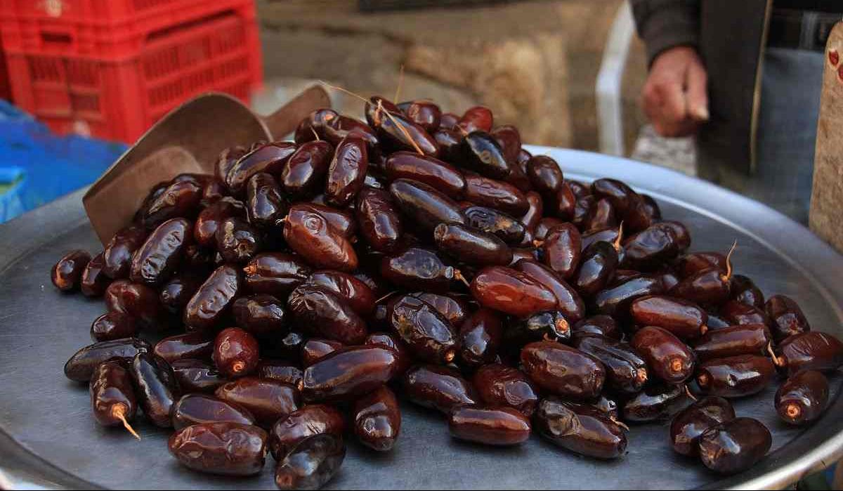  Buy and the Price of All Kinds of middle eastern dates 