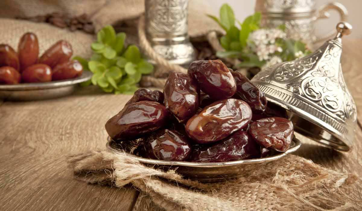  Introduction of Jumbo Medjool Dates + Best buy price 