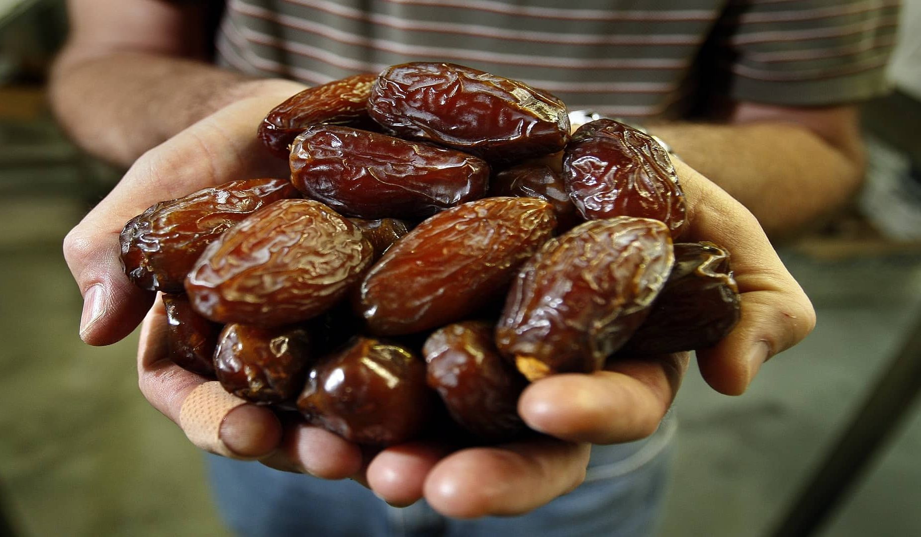  medjool dates vs pitted dates size 