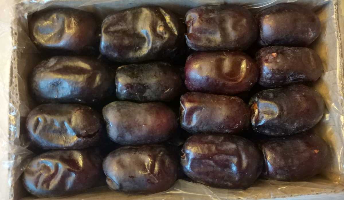  Purchase And Day Price of Fresh Mazafati Dates 