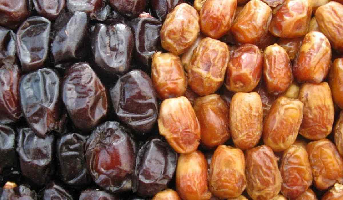  Purchase And Day Price of Fresh Mazafati Dates 