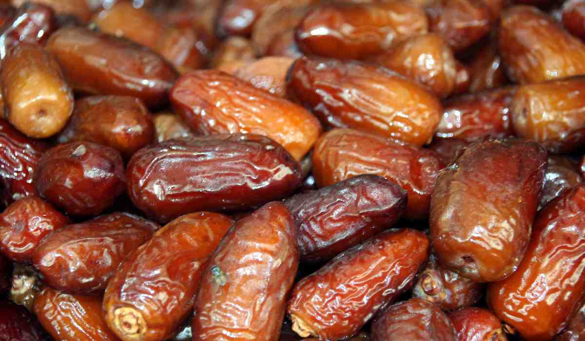  Best Deglet noor dates | Buy at a cheap price 