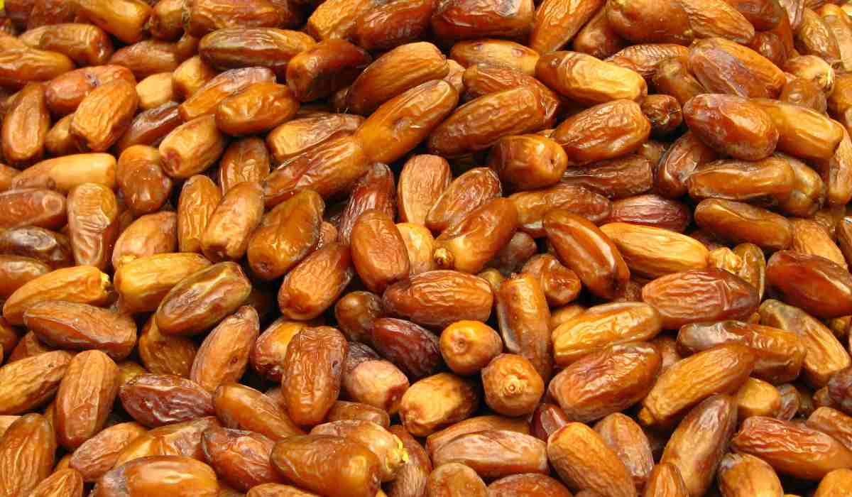  Best Deglet noor dates | Buy at a cheap price 