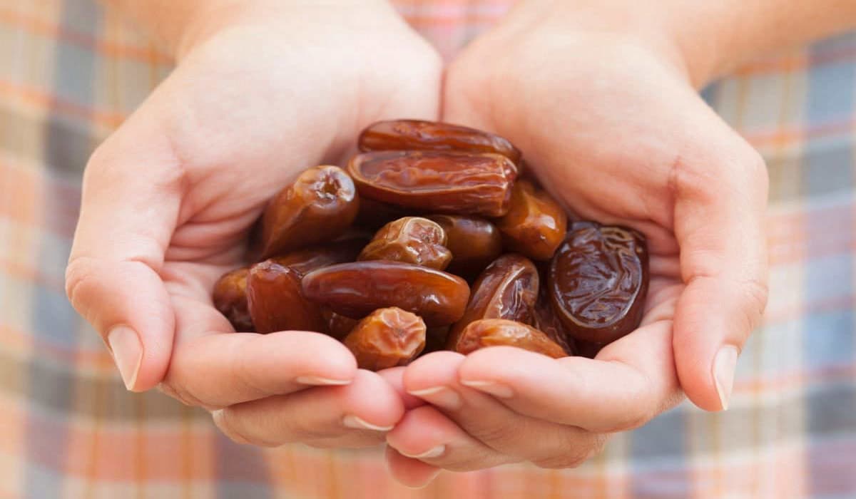  Introduction of premium rabbi dates + Best buy price 