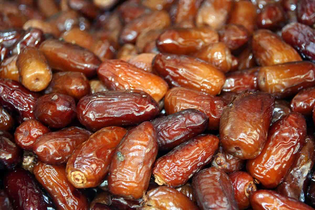  are zahidi dates healthy for primary school children 