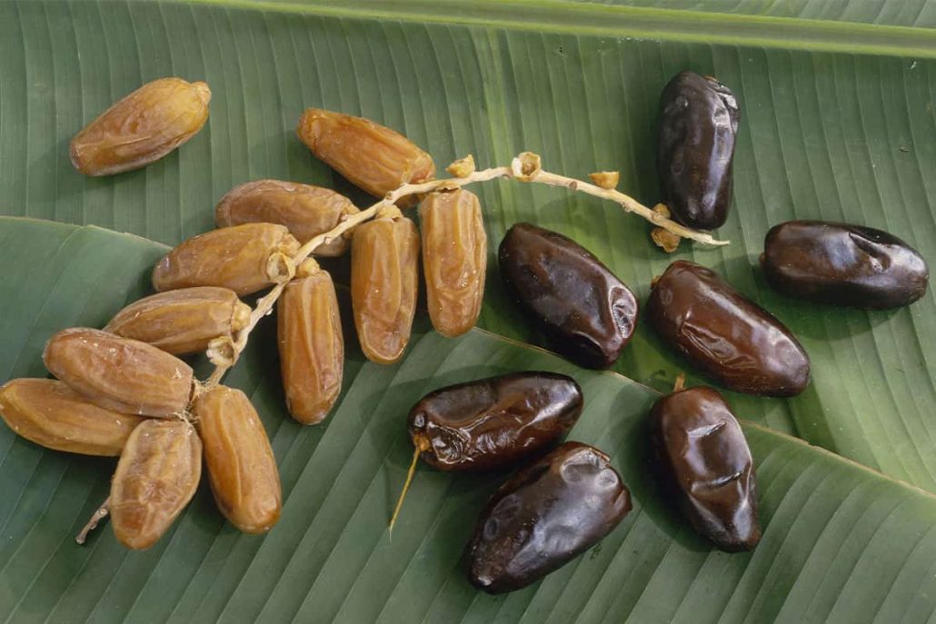  Buy All Kinds of Chopped Sugared Dates + Price 