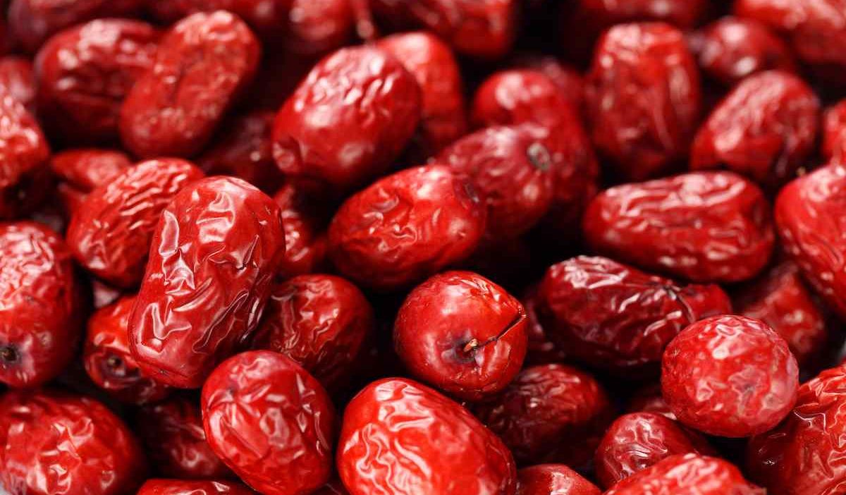  Organic chinese red dates Purchase Price + Photo 