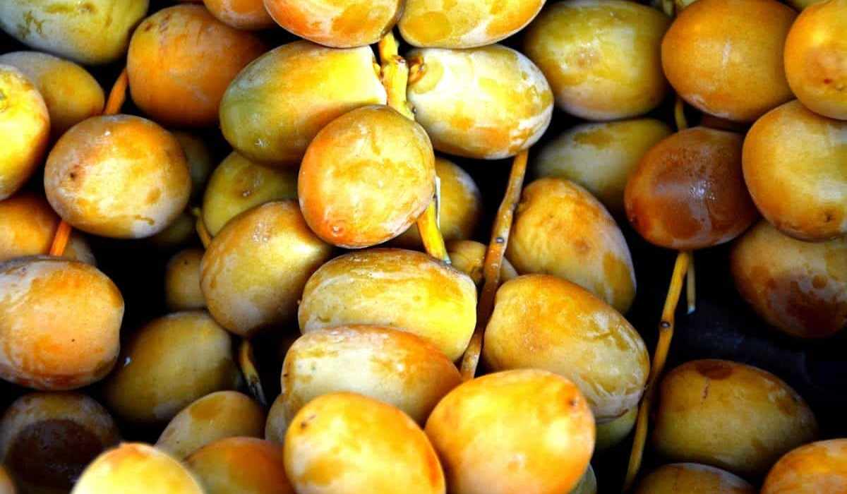  yellow Barhi dates calories purchase price + Properties, disadvantages and advantages 