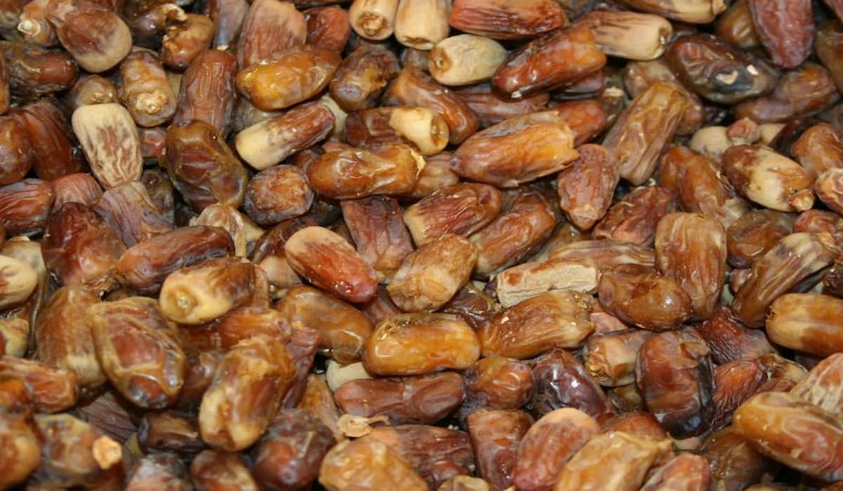  Medjool dates 10kg packaging for sale near me 