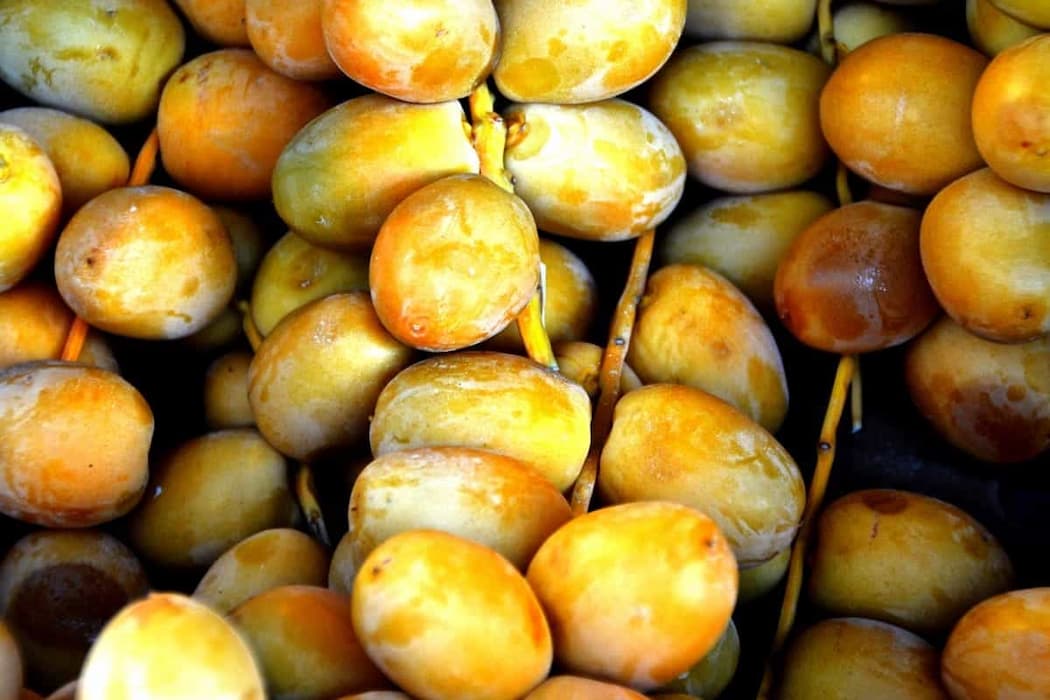  Buy Fresh Dates | Selling All Types of Fresh Dates At a Reasonable Price 