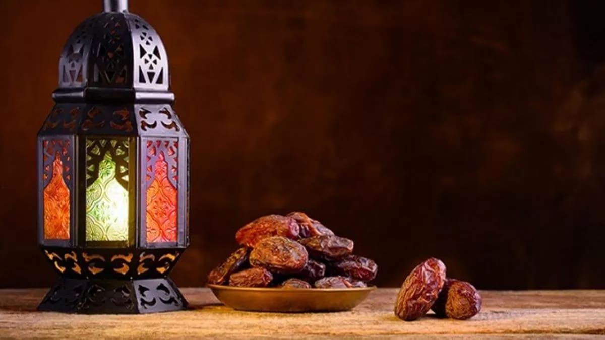  Buy all kinds of Deglet Noor Date + price 