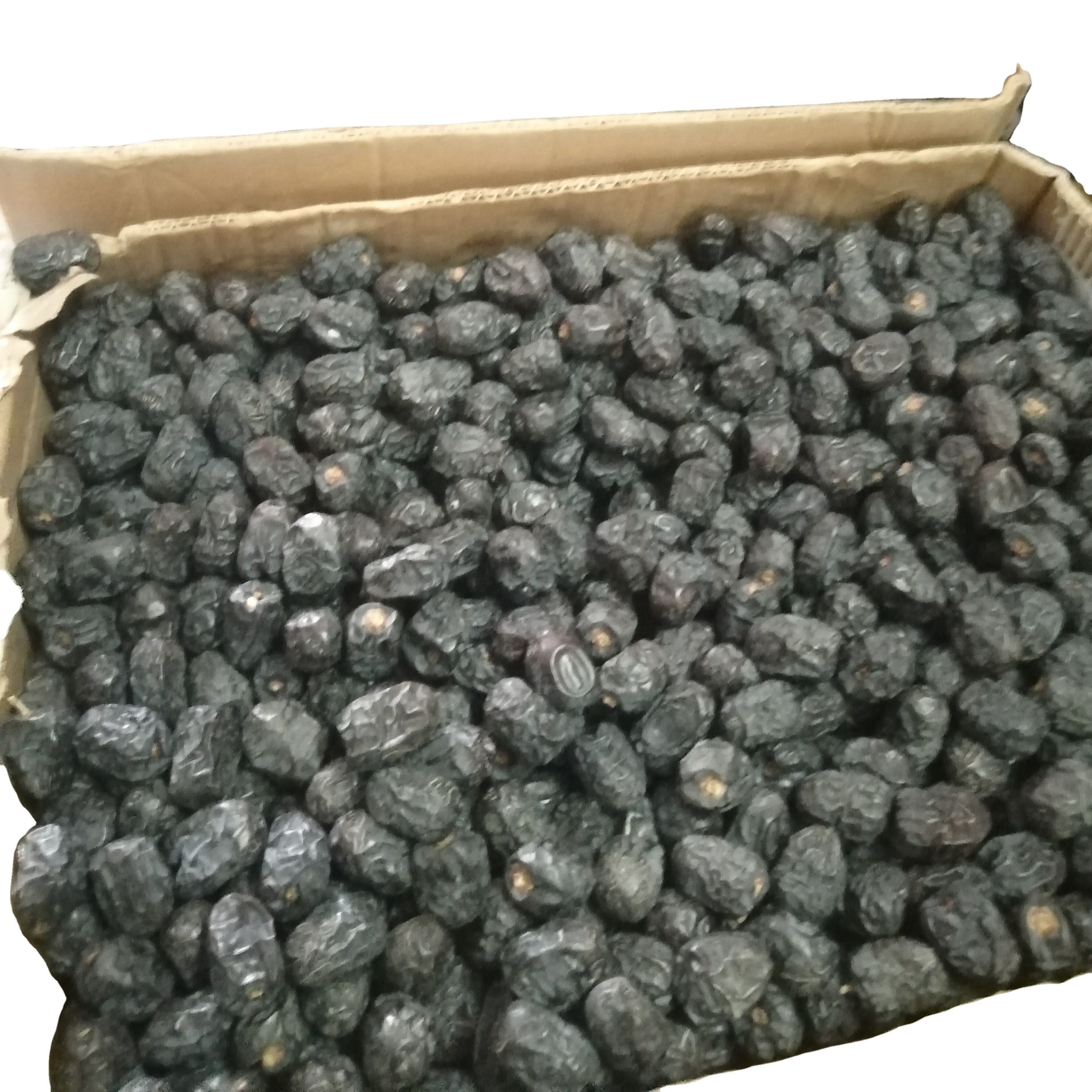 Best buying Medjool dates price in Dubai