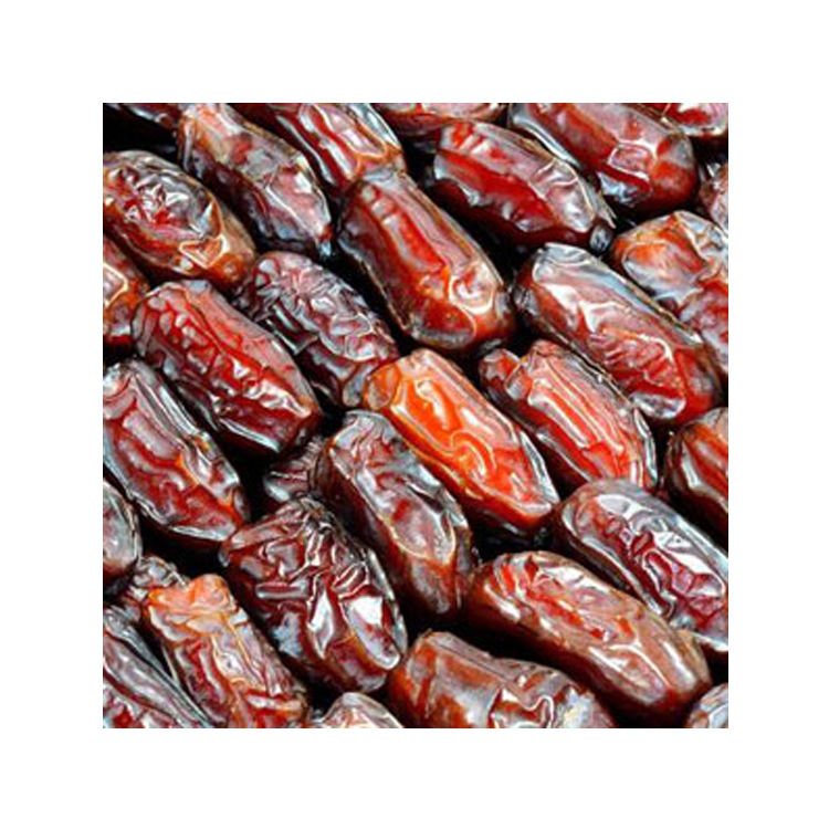 Best buying Medjool dates price in Dubai