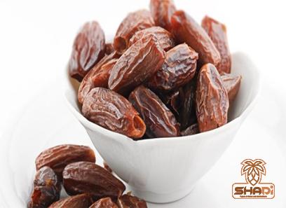 medjool dates egypt specifications and how to buy in bulk