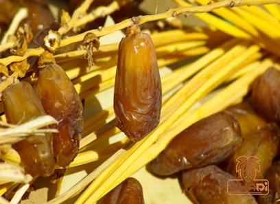 Date honey with complete explanations and familiarization