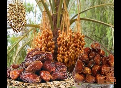 ajwa dates asda with complete explanations and familiarization