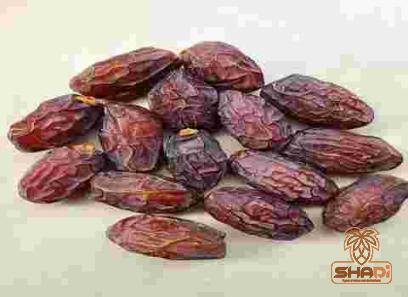 Mazafati dates buying guide with special conditions and exceptional price