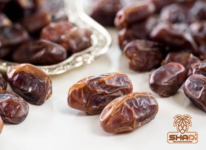 date bark specifications and how to buy in bulk