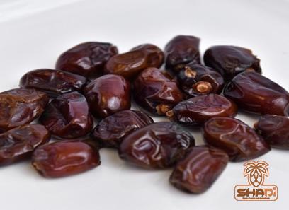 harmony dates 5kg with complete explanations and familiarization