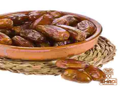 gantar date specifications and how to buy in bulk