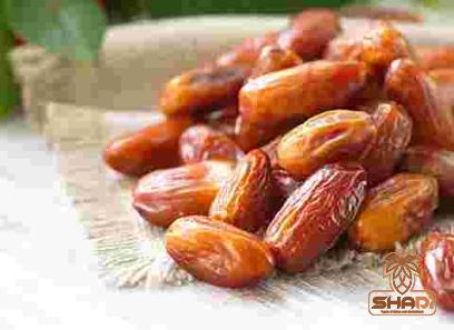 khidri date specifications and how to buy in bulk